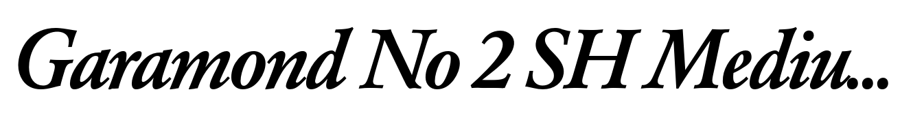 Garamond No 2 SH Medium Italic